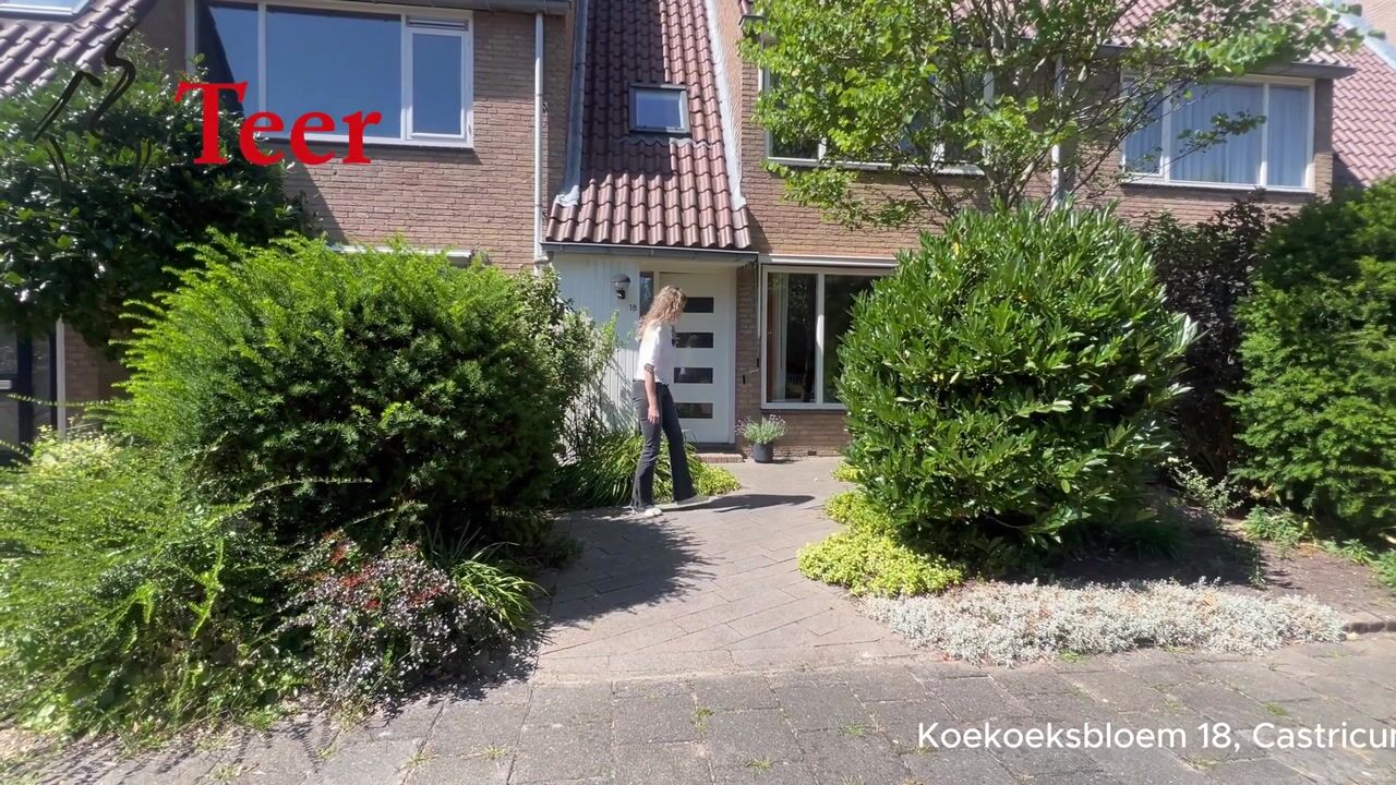 Video van Koekoeksbloem 18