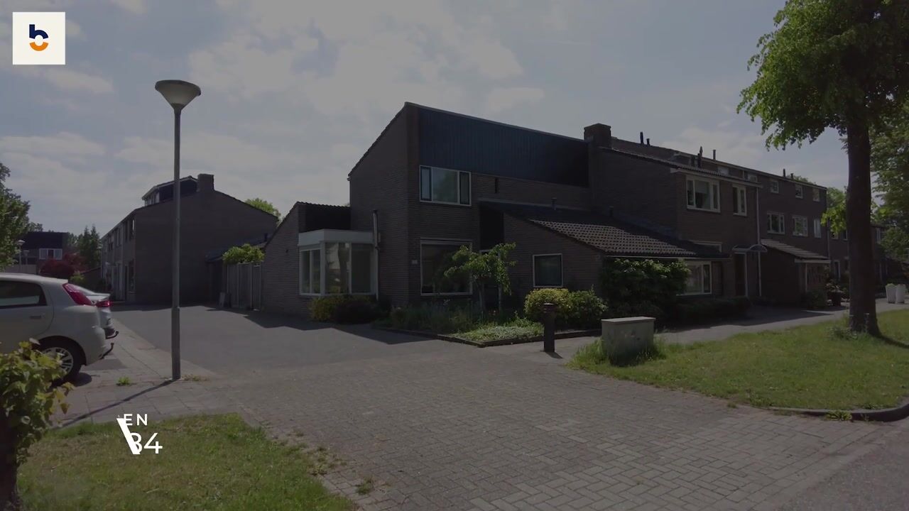 Video van Silene 84