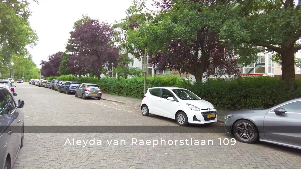 Video van Aleyda van Raephorstlaan 109