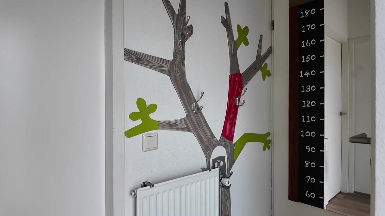 Video of Landweerswal 2-30