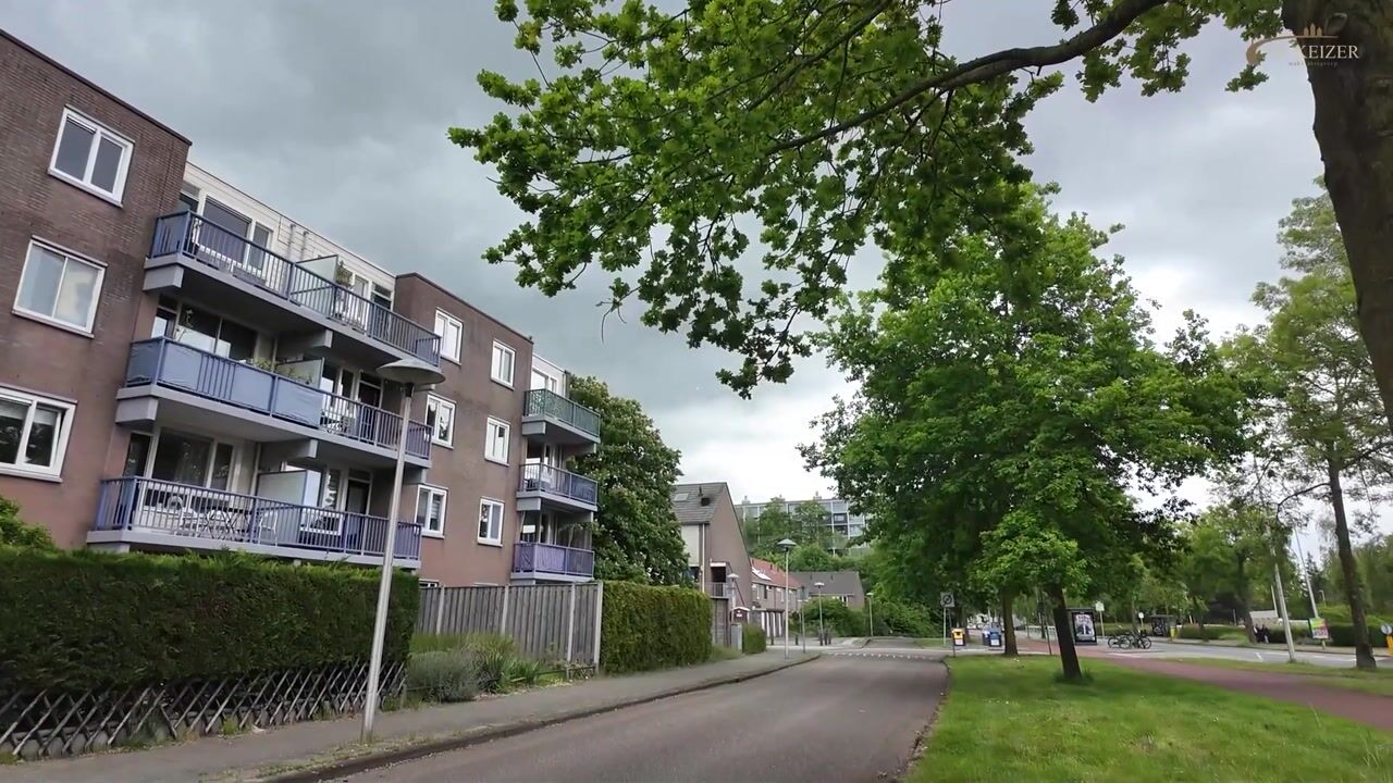 Video van Miamidreef 33