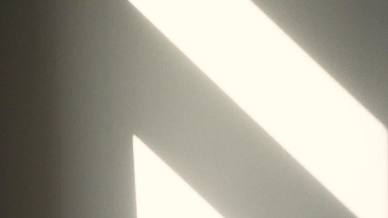 Video of Croeselaan 266