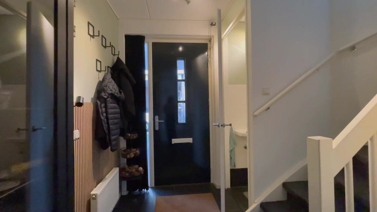 Video of Distelbrink 9