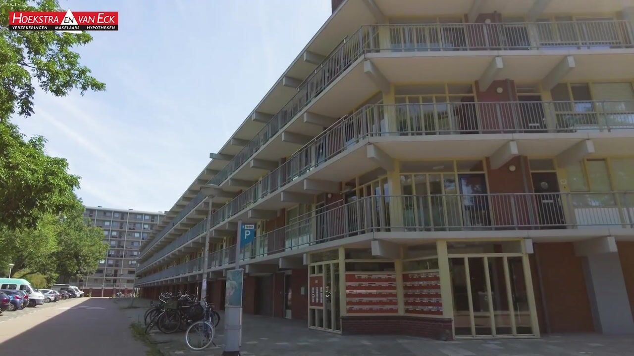 Video of Elpermeer 49