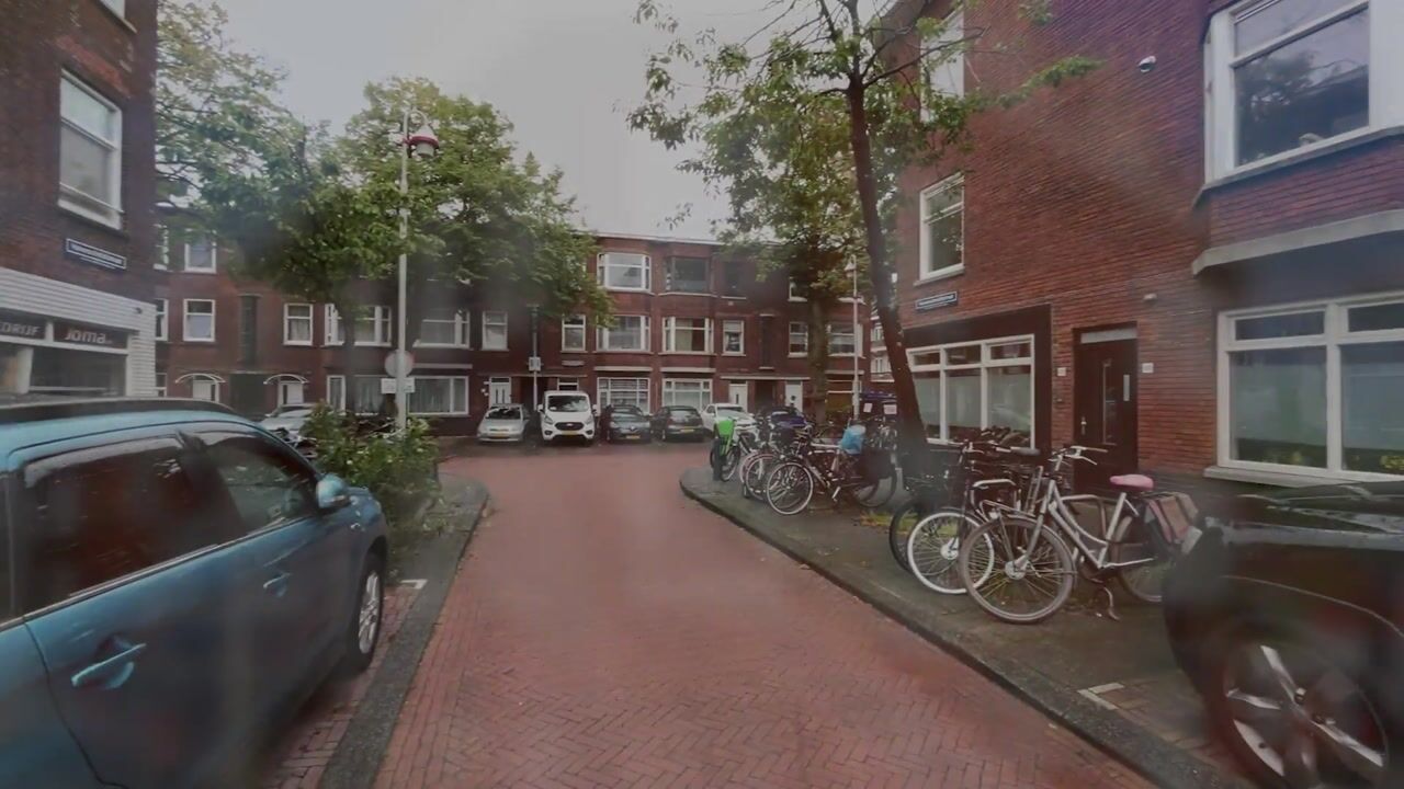 Video van Linnaeusstraat 295