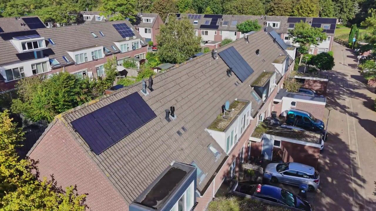 Video van Knoopkruid 21
