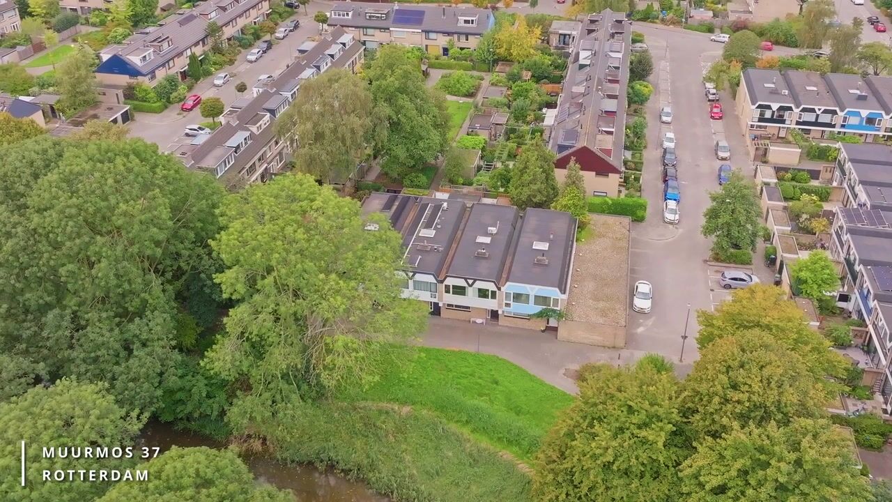 Video van Muurmos 37