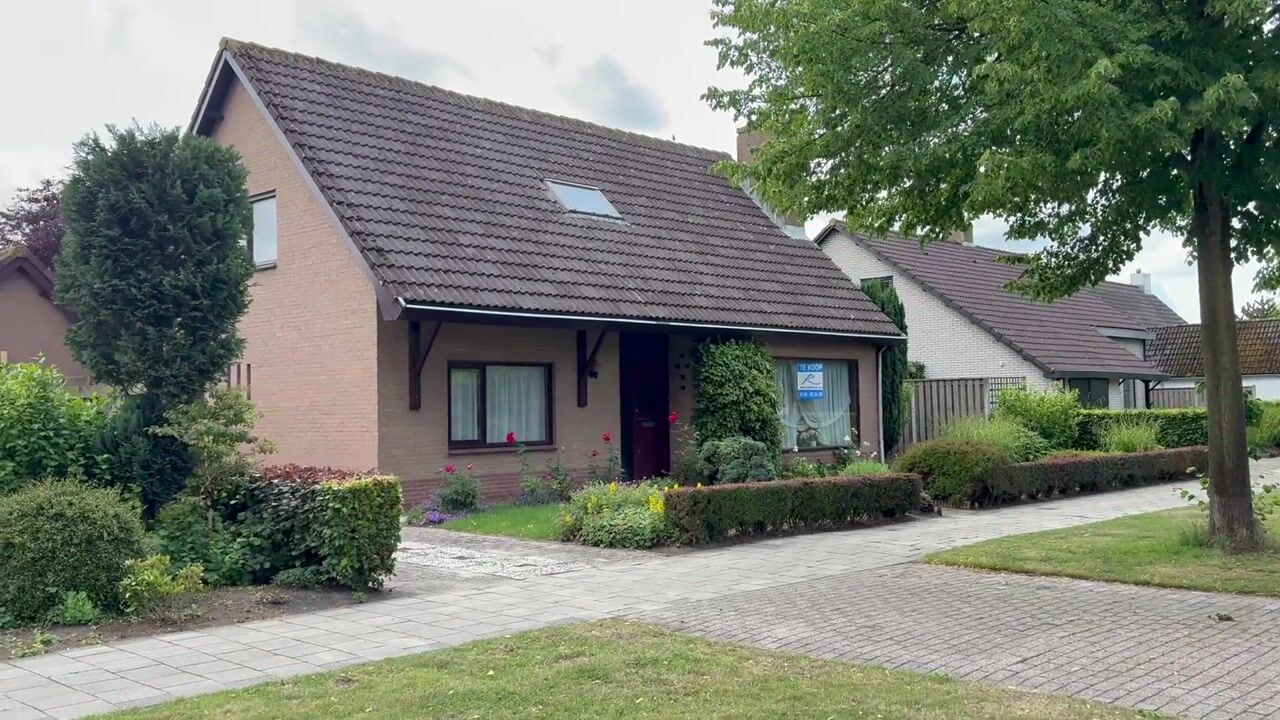 Video van Reigerstraat 3