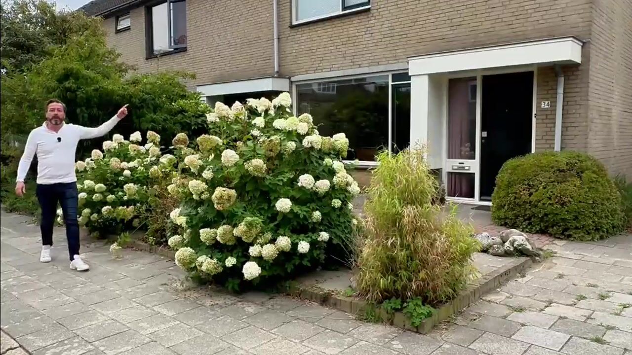 Video van Breeland 34