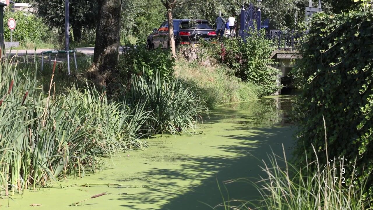 Bekijk video van Turfweg 4