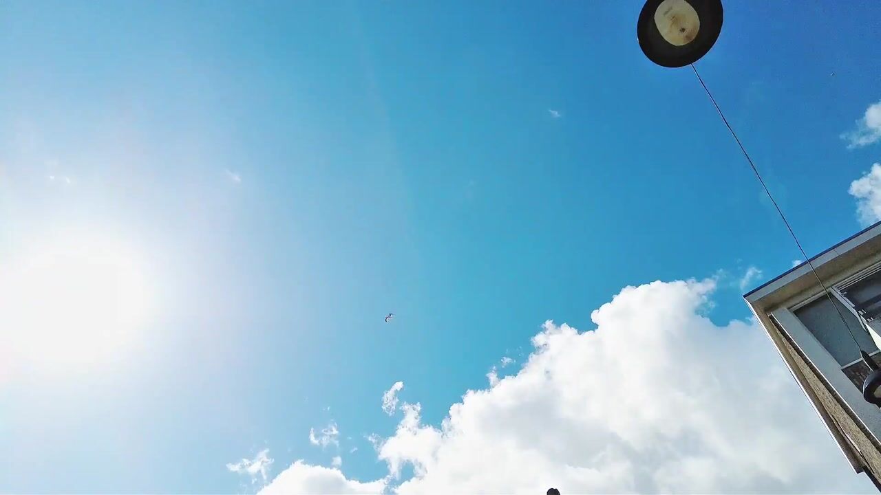 Video van Korte Hoogstraat 5