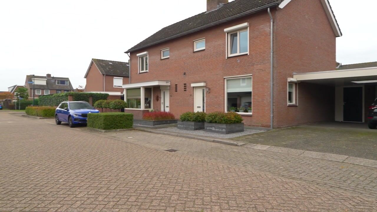 Video van Goudplevier 14