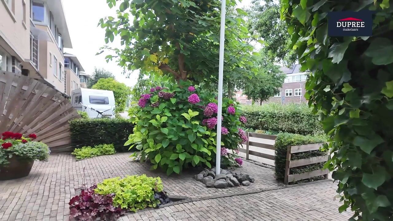 Video van Rigel 14