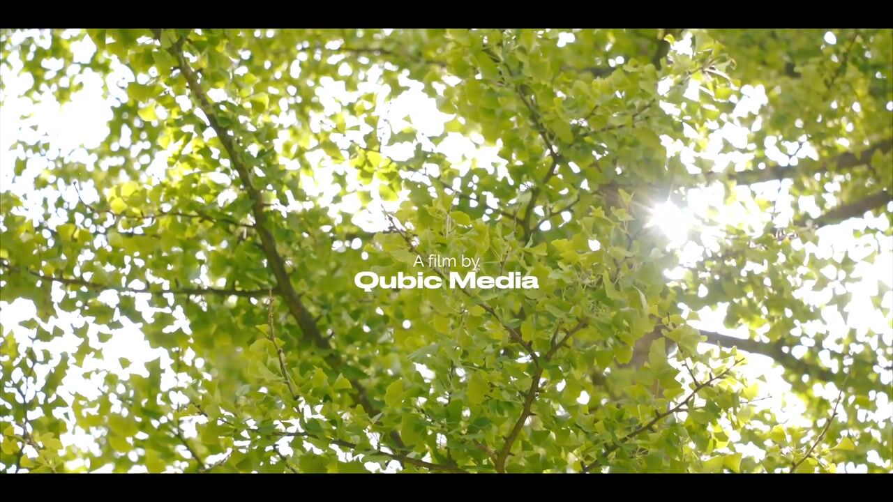 Video van Burg. Arriënsweg 19