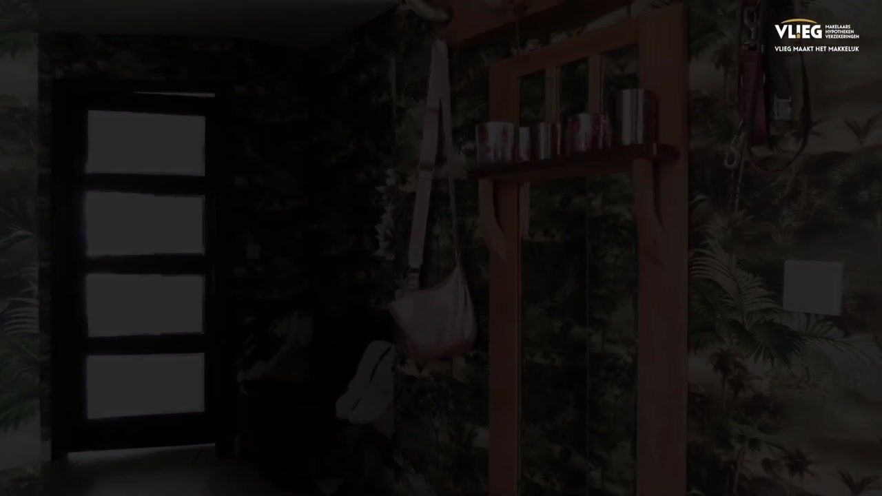 Video van Molletjesveer 5