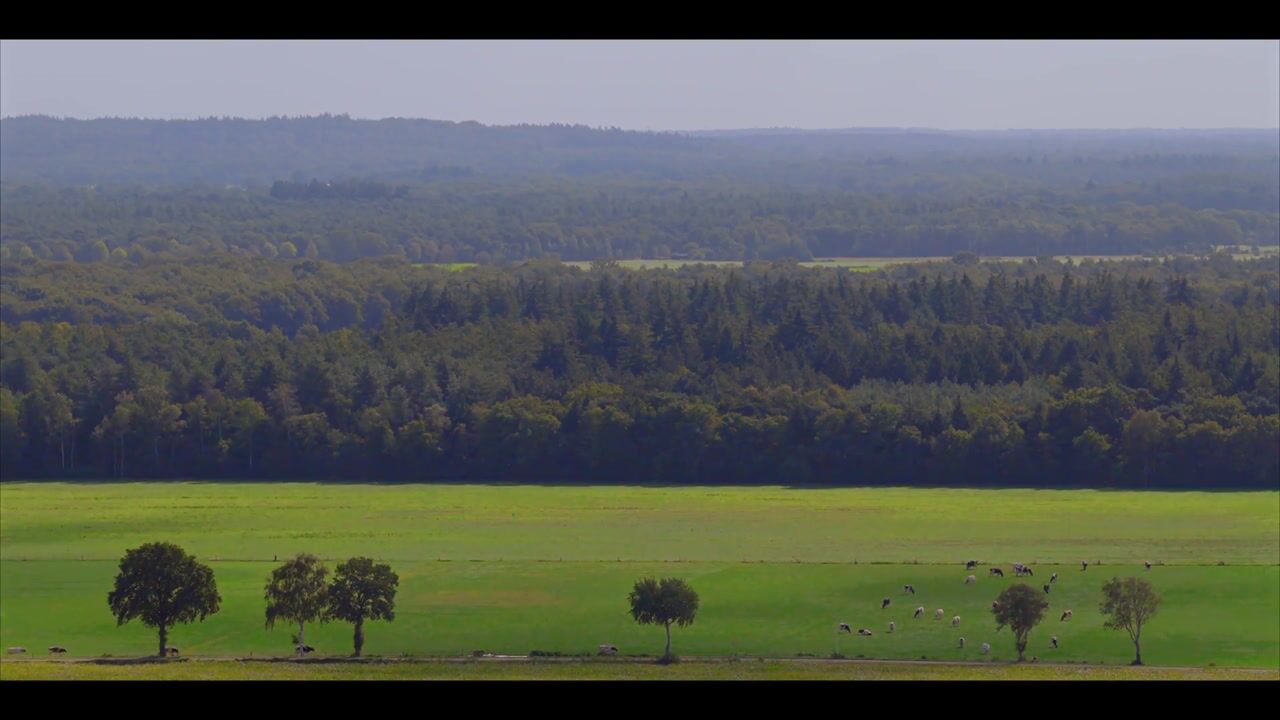 Video van Speelmansweg 13