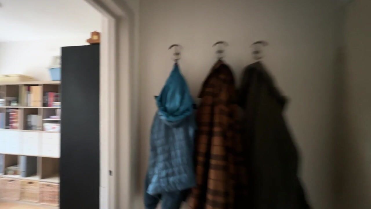 Video of Julianaplantsoen 96