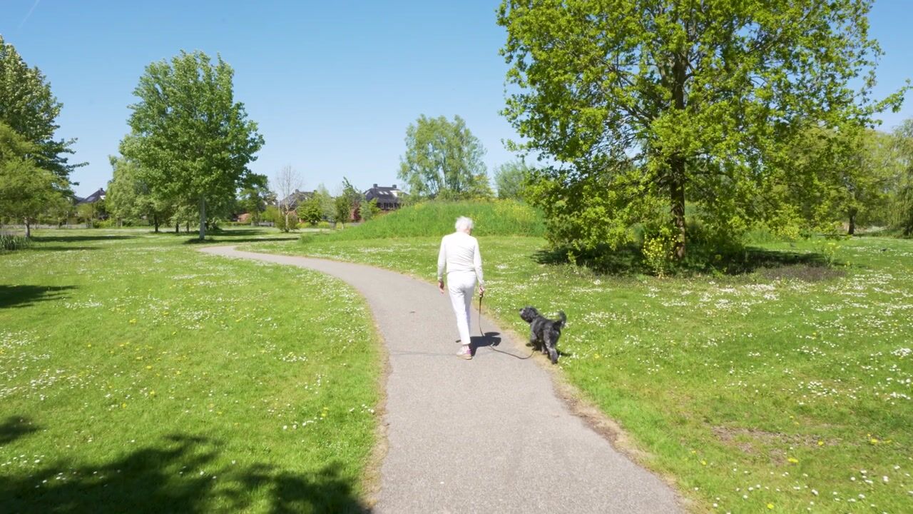 Video van Woelse Donk 5