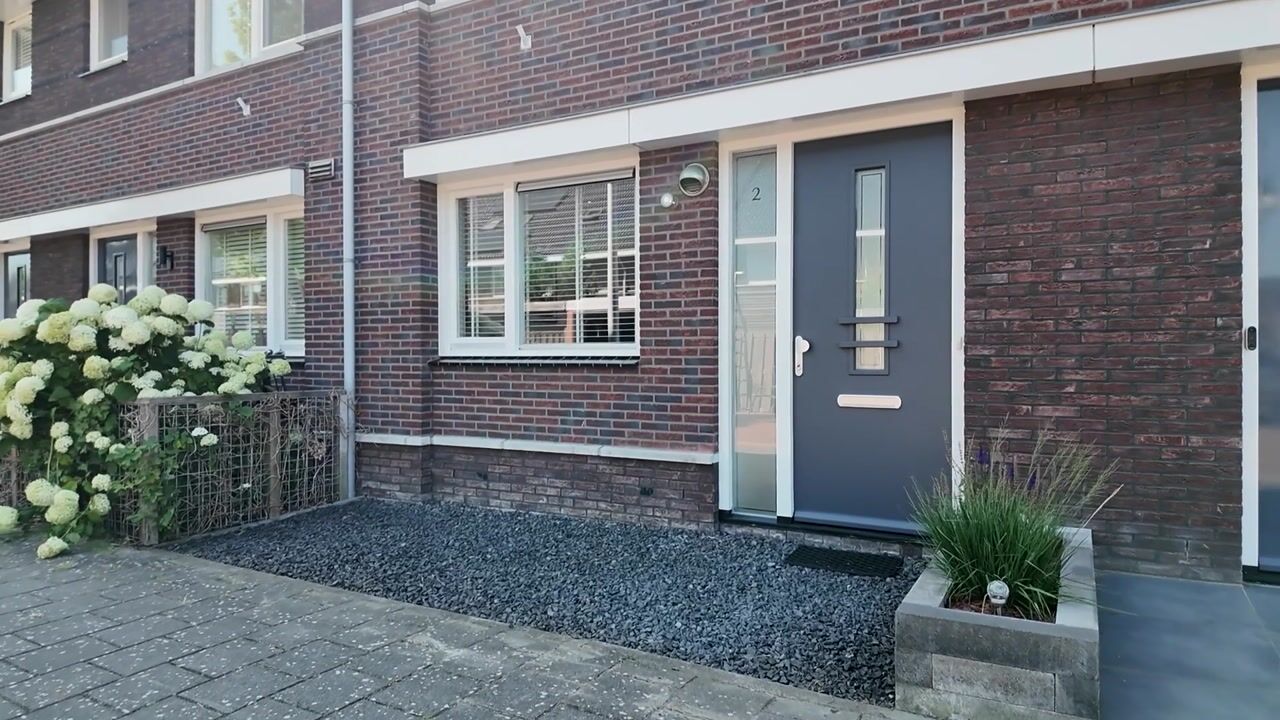 Video van Aalscholver 2