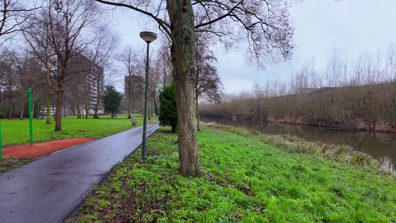 Video van Griegplein 82