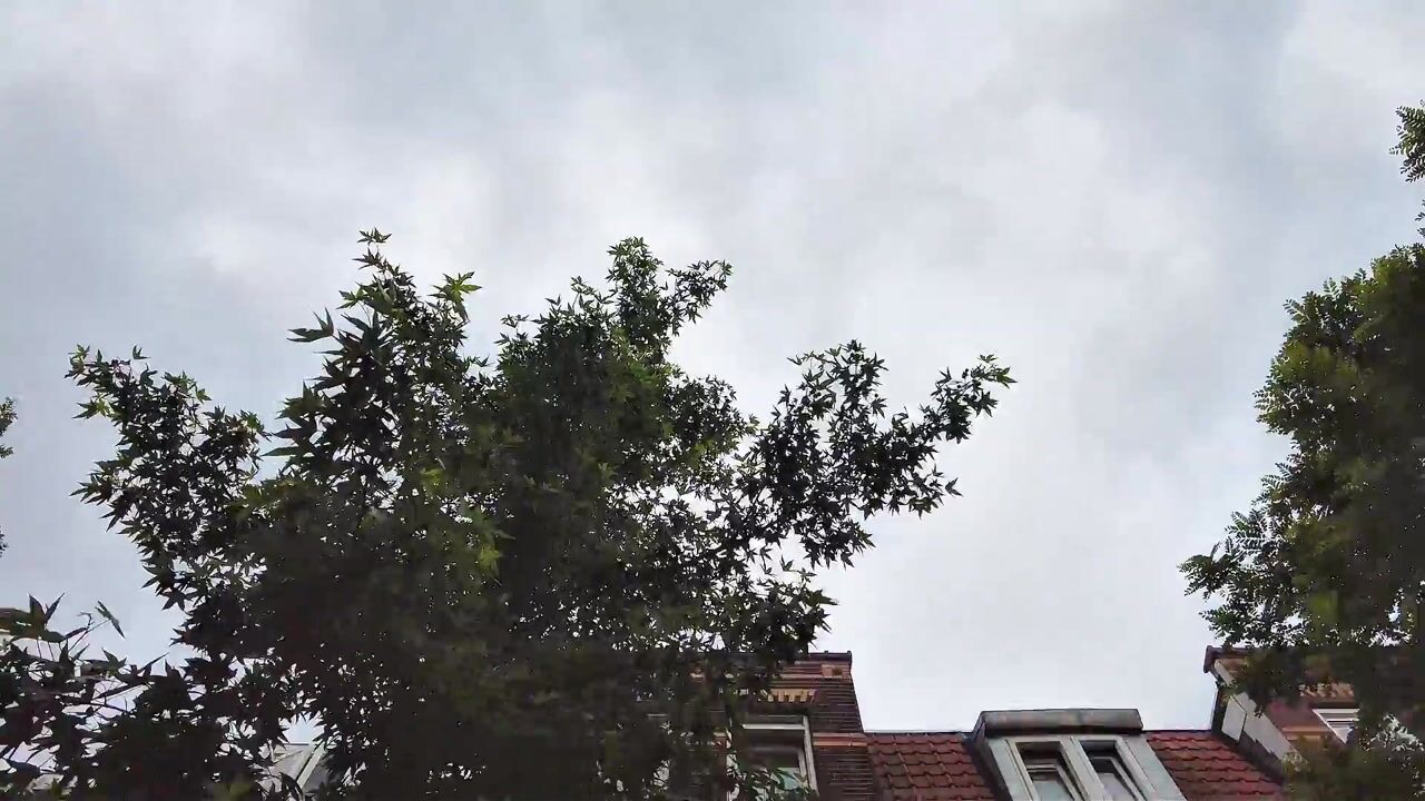 Video van Nassaulaan 19-A