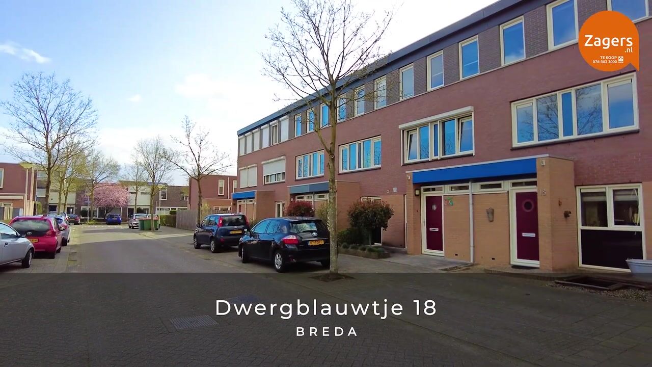 Video van Dwergblauwtje 18