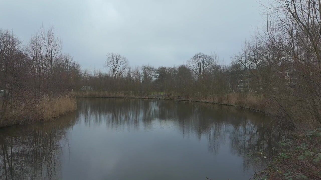 Video van Frans Netscherstraat 24