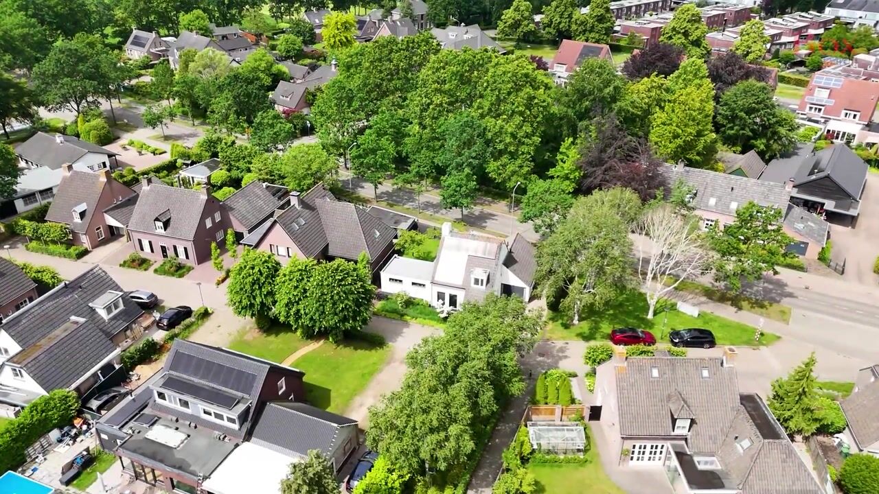 Video van Lupine 1