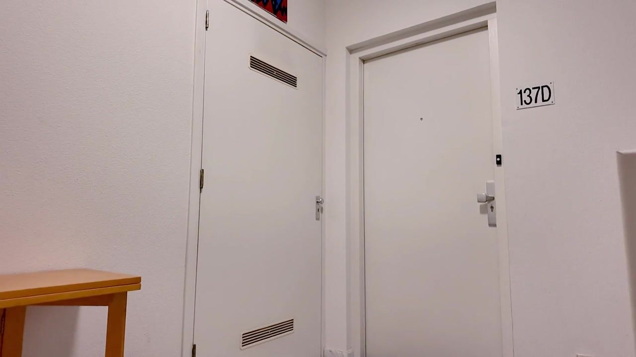 Video of Nieuwegracht 137-D