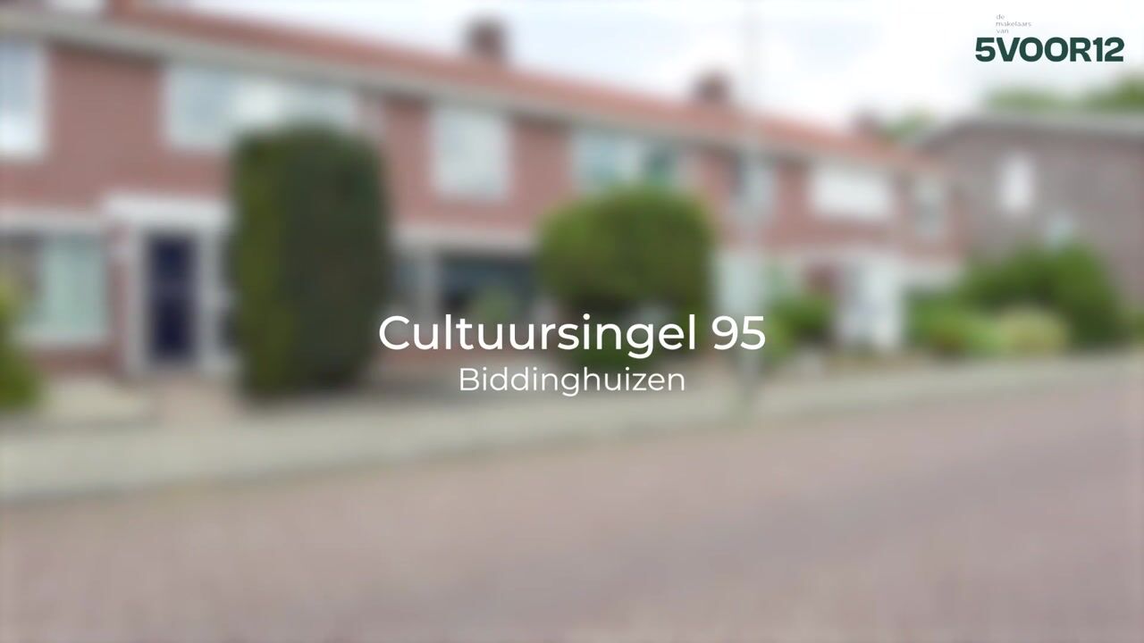 Video van Cultuursingel 95