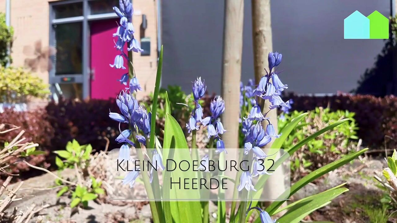 Video van Klein Doesburg 32