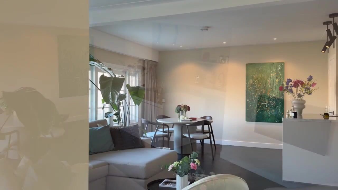 Video of Tintorettostraat 13-3