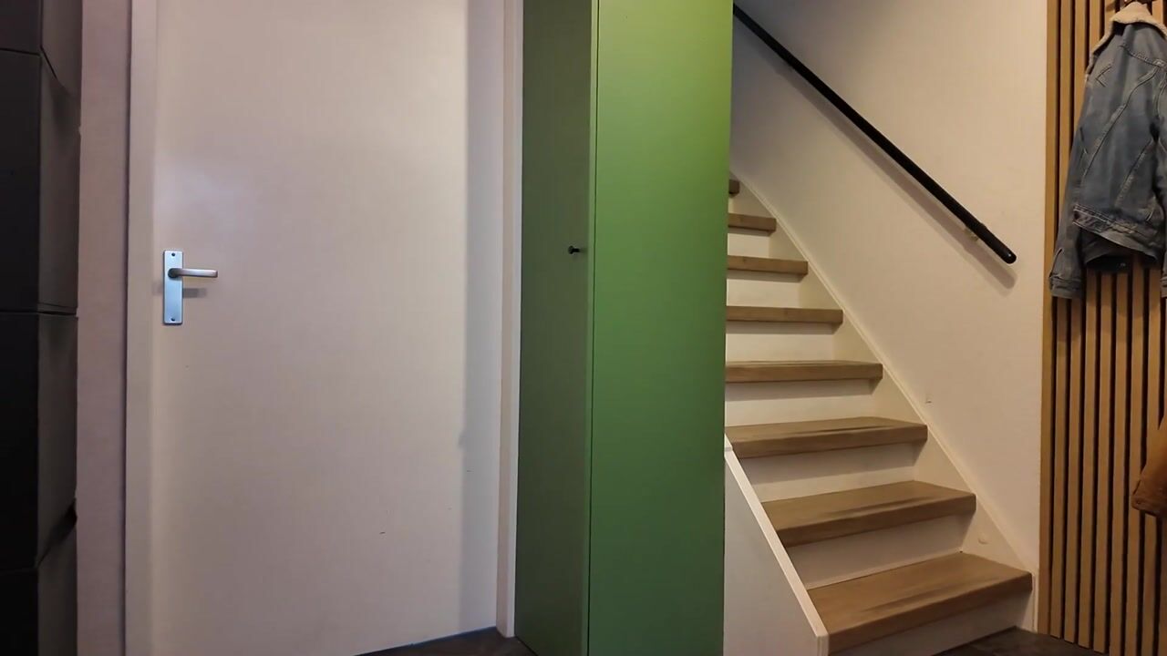 Video van Mantelmeeuw 9