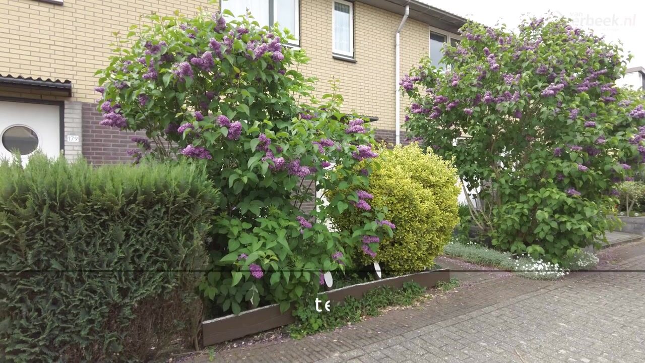 Video van Parkstee 179