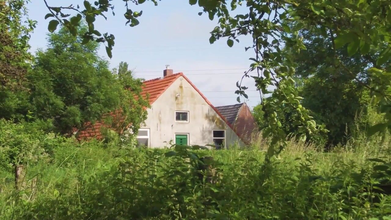 Video van 't Veld 3