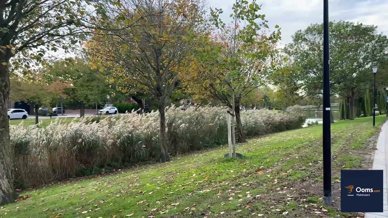 Video van Meerwedesingel 20