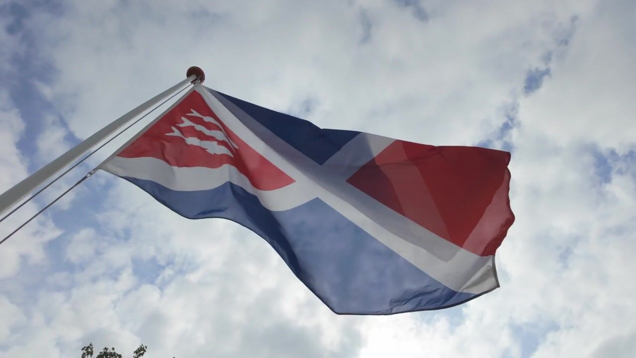 Video van Pol 40