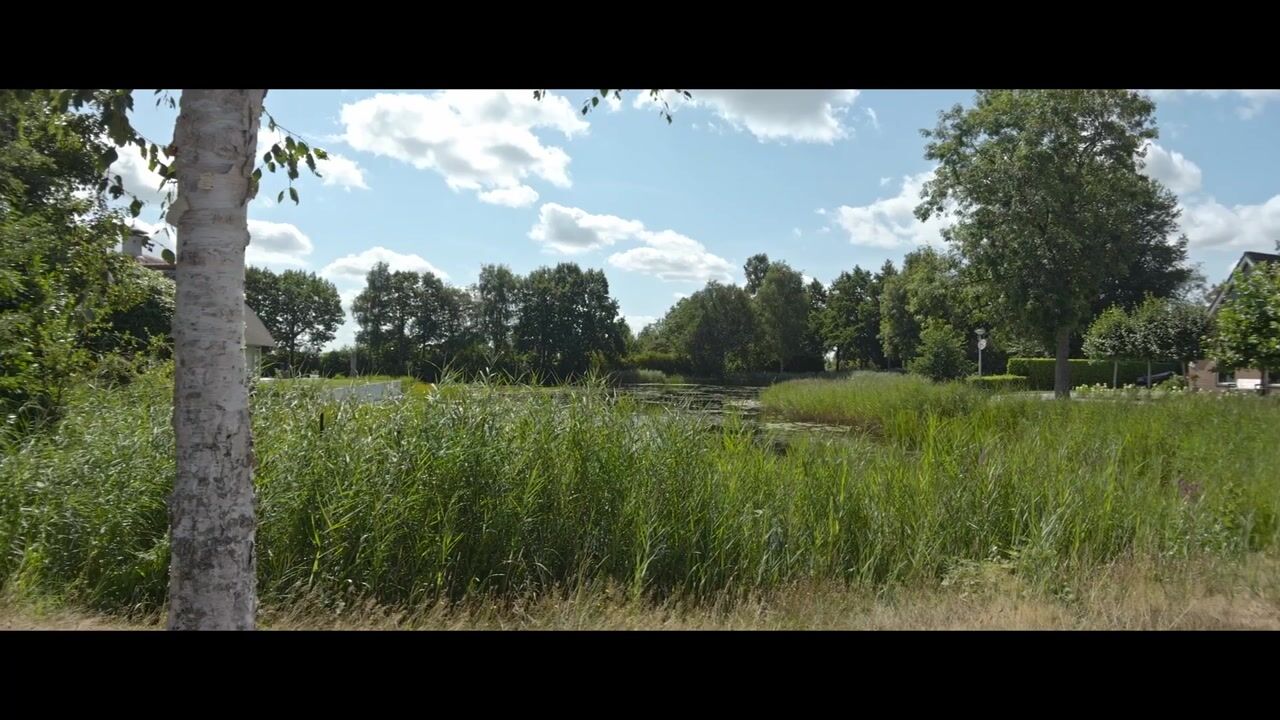 Video of Jasker 3