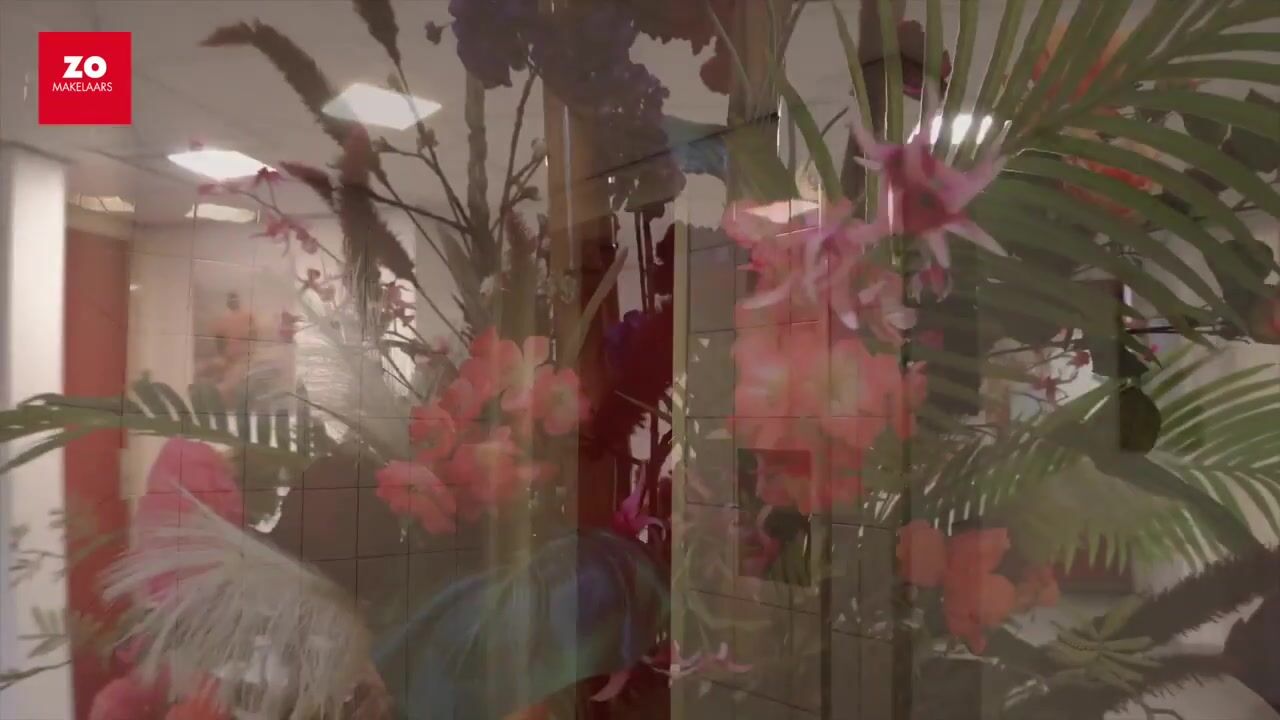 Video van Jan Thoméelaan 34