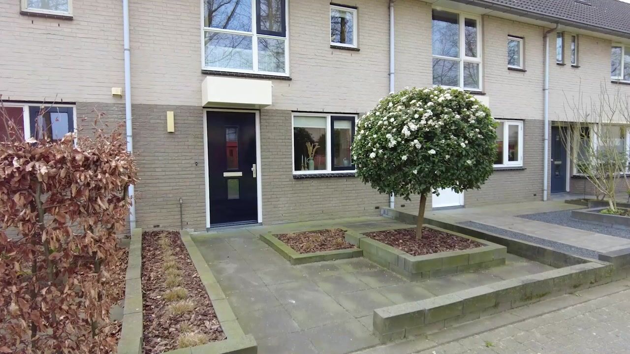 Video van De Kolk 24