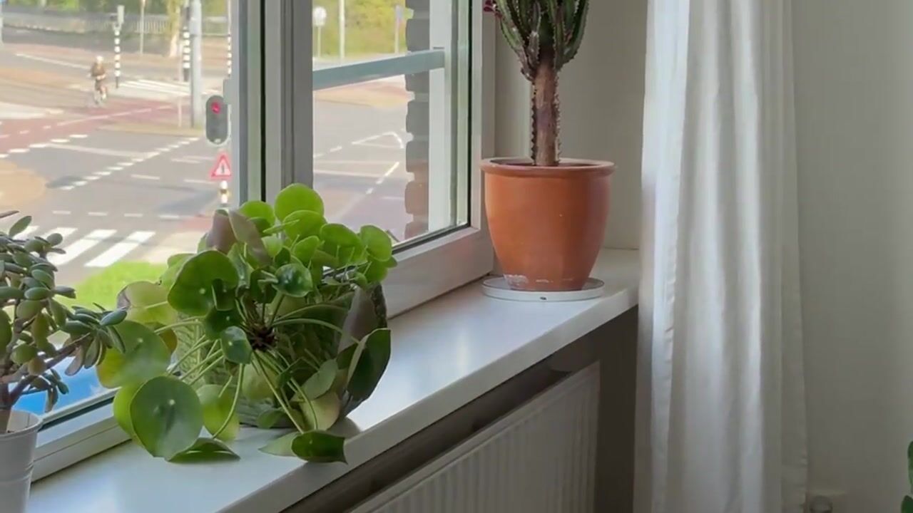 Video van Gordelweg 48-D