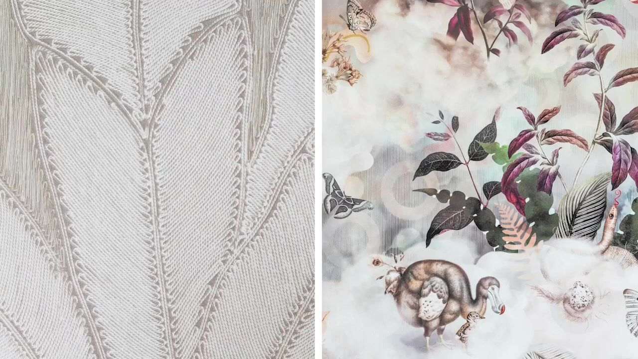 Video van Fazantlaan 21