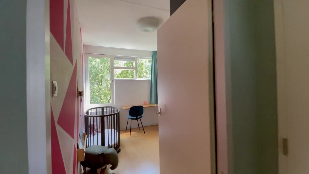 Video of Wagenaarstraat 376