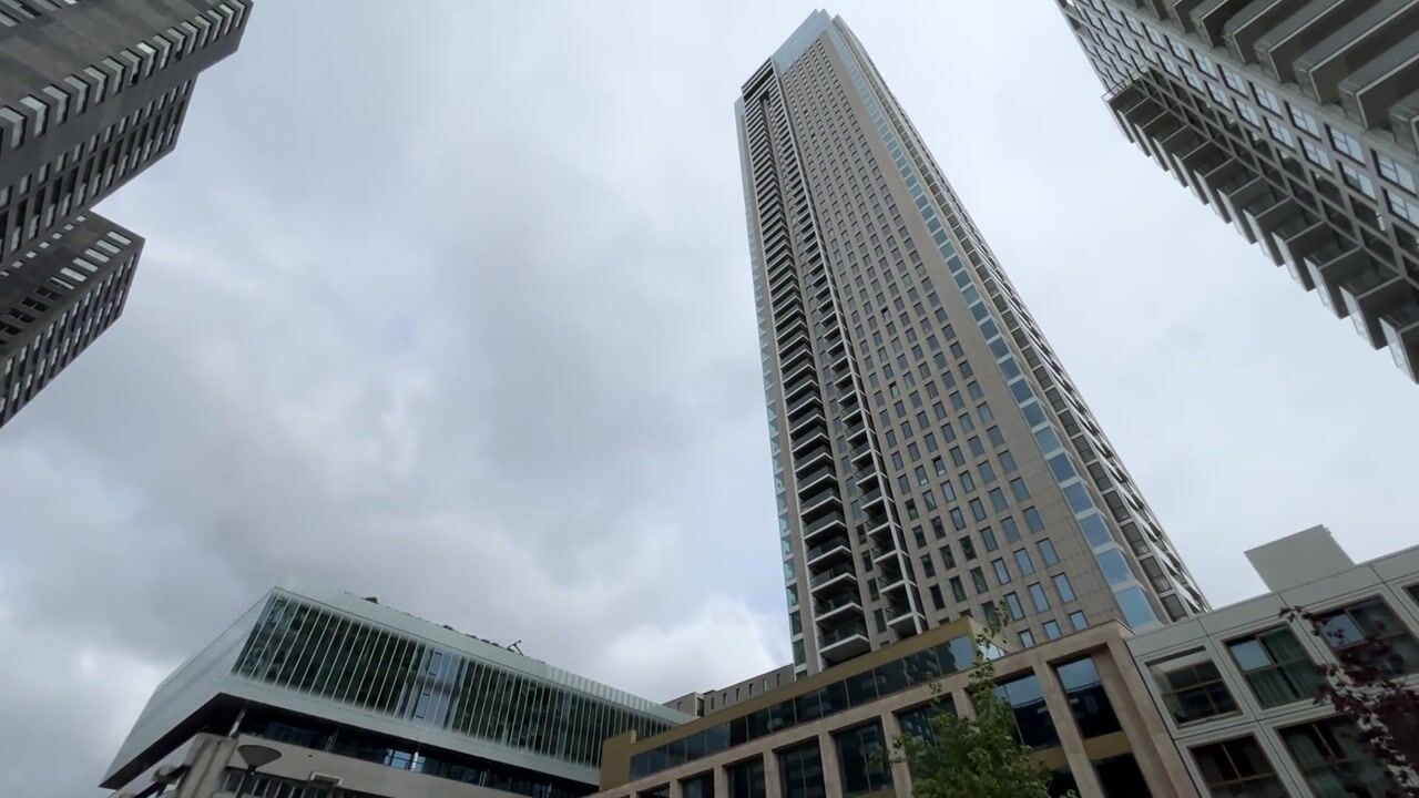 Video van Houtlaan 445