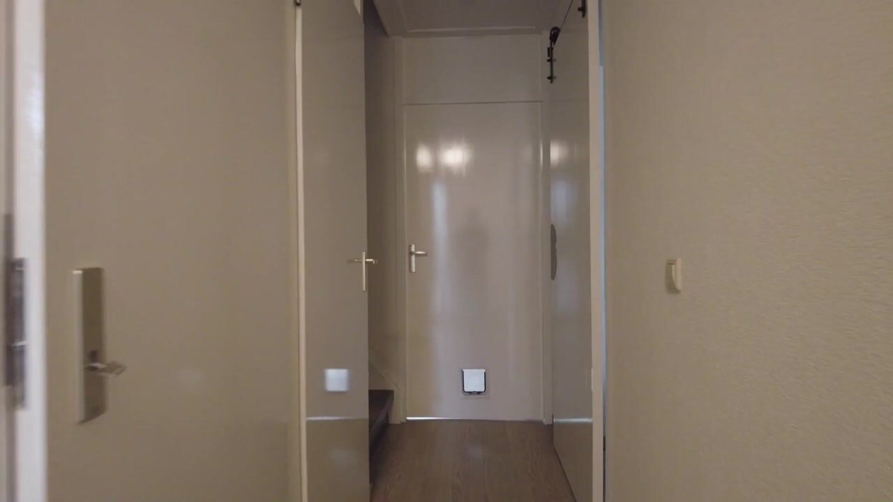Video van Spoorven 530