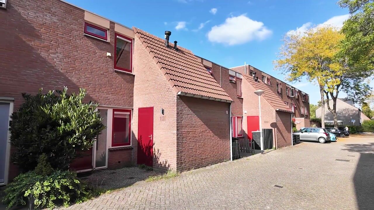 Video van Boekweitakker 19