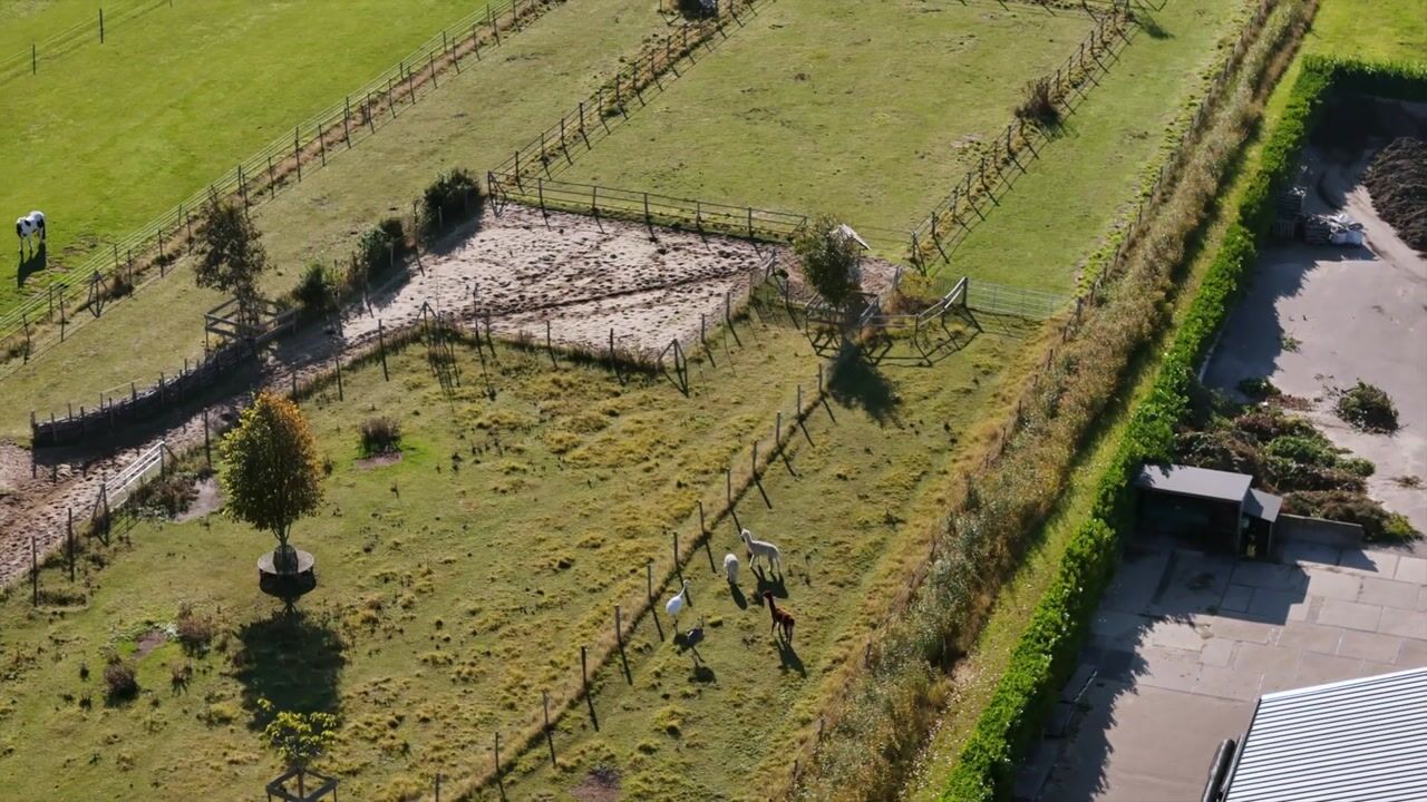 Video van Boomweg 21
