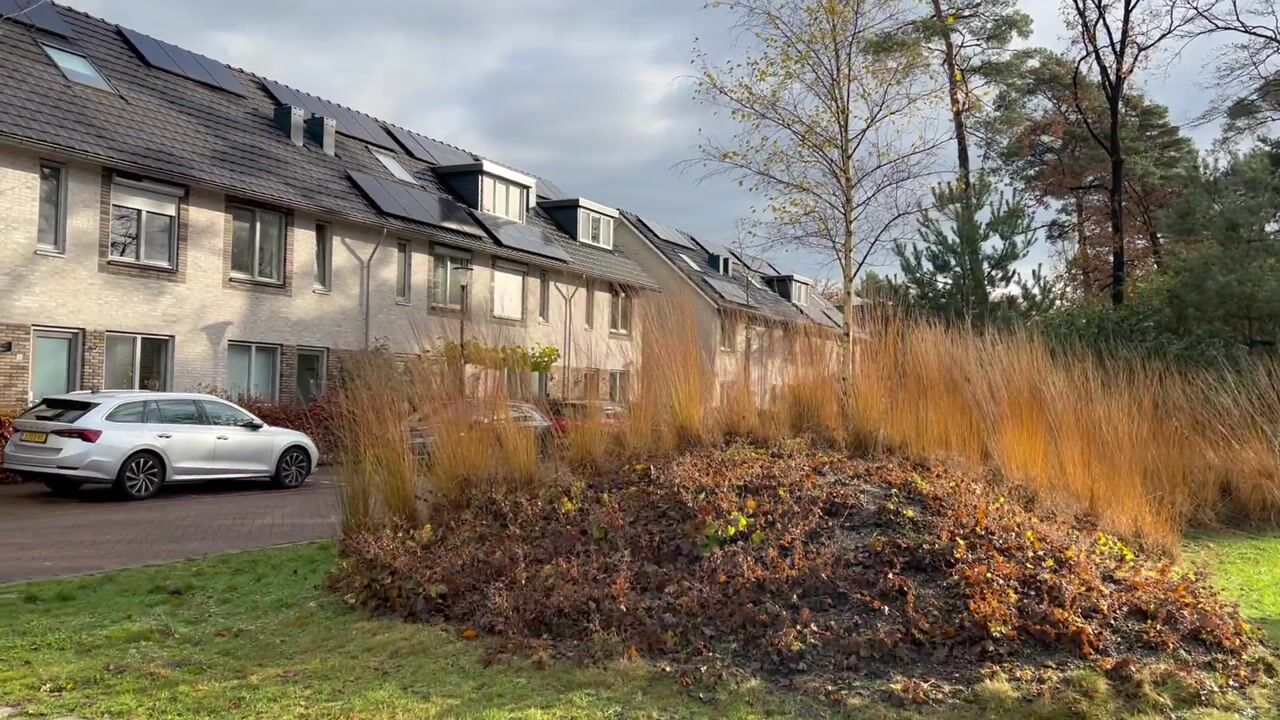 Video of Van Meellaan 19