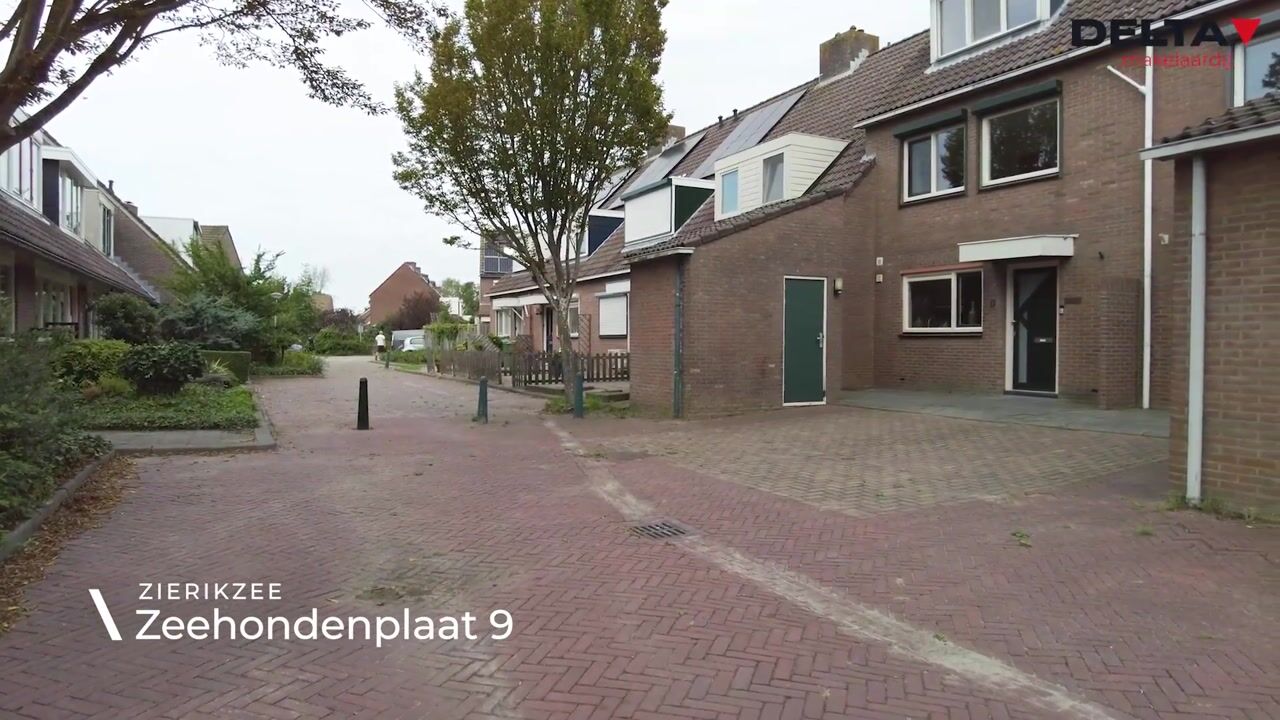Video van Zeehondenplaat 9