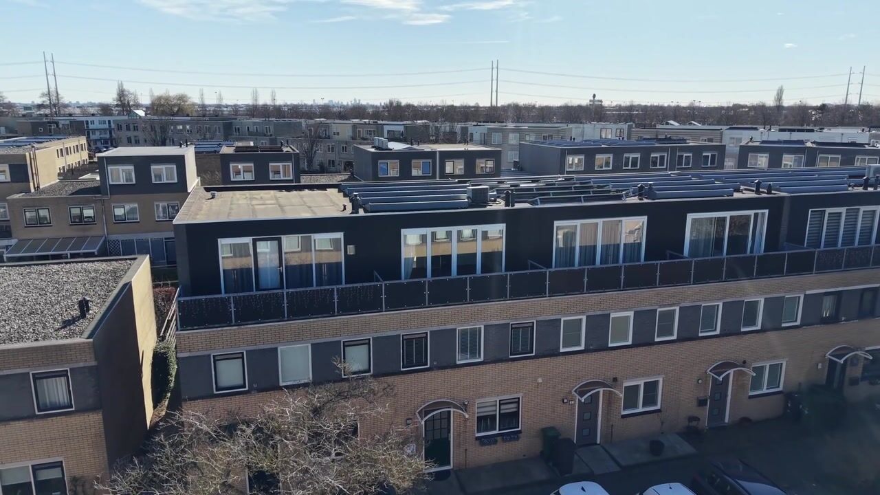 Video van Pruisisch blauw 35